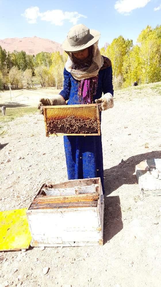 beekeepers Afghanistan women gender honey natural